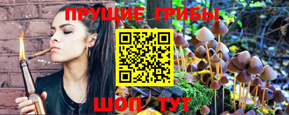 Псилоцибиновые грибы мицелий  Псилоцибиновые грибы Psilocybine cubensis  Вход с VPN  Санкт-Петербург 